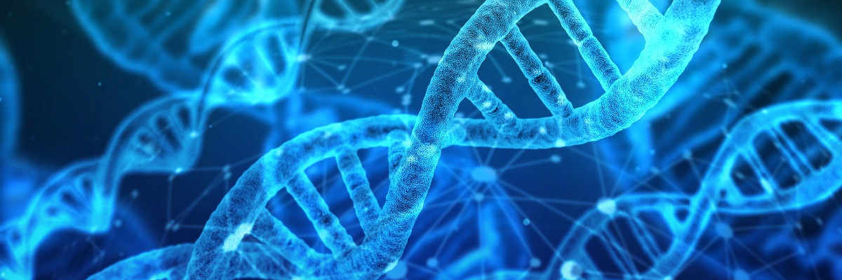 DNA